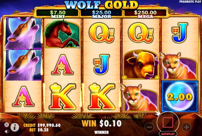 Caracter&iacute;sticas de Wolf Gold